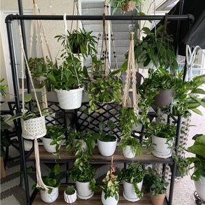 Macrame Plant Hangers (20 count!)